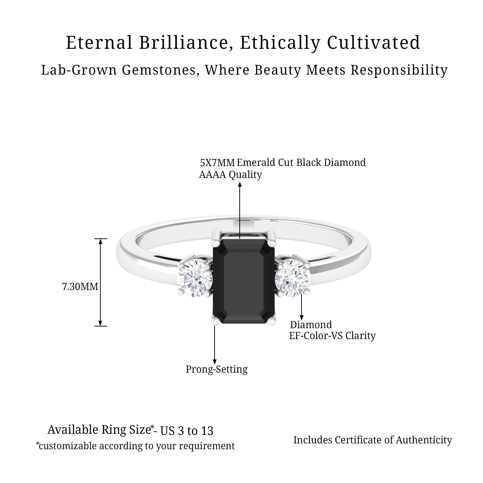 Vibrant Grown Labs-Emerald Cut Lab Grown Black Diamond Engagement Ring