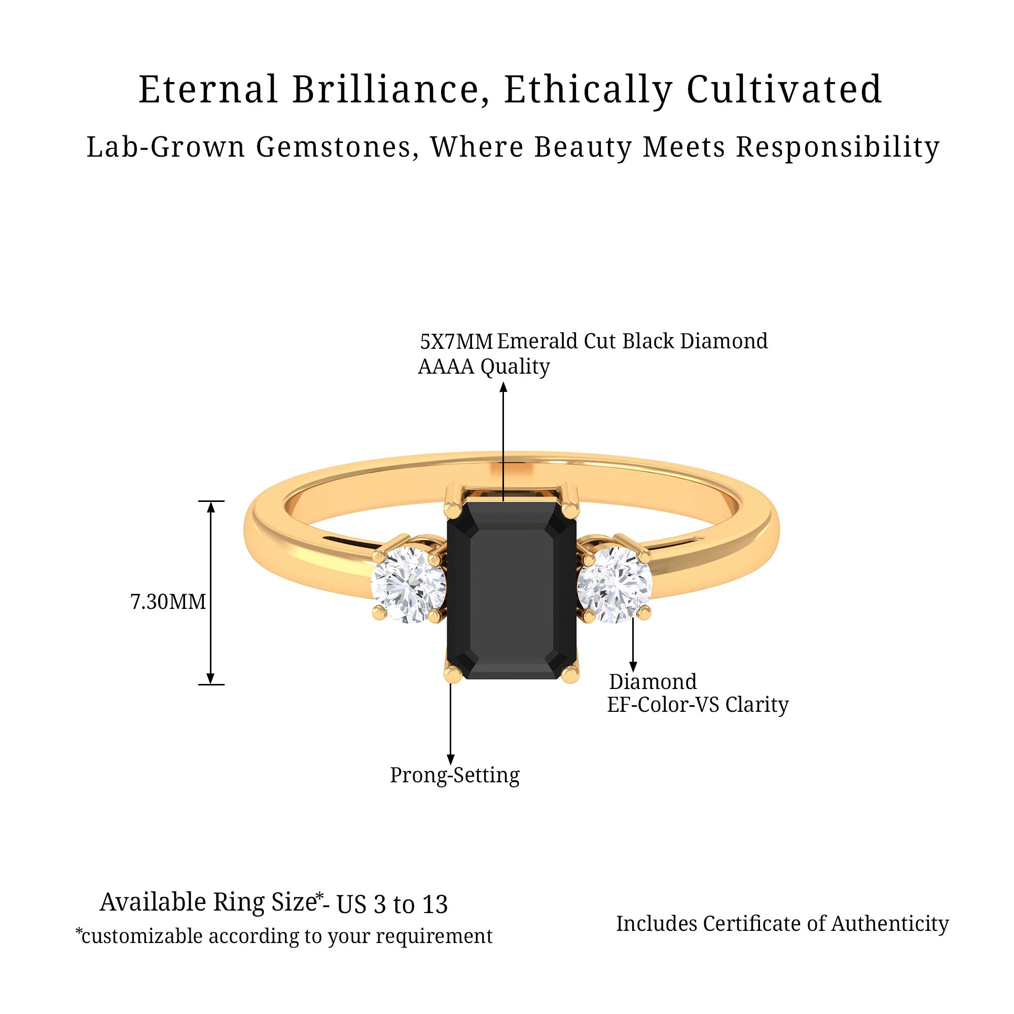 Vibrant Grown Labs-Emerald Cut Lab Grown Black Diamond Engagement Ring