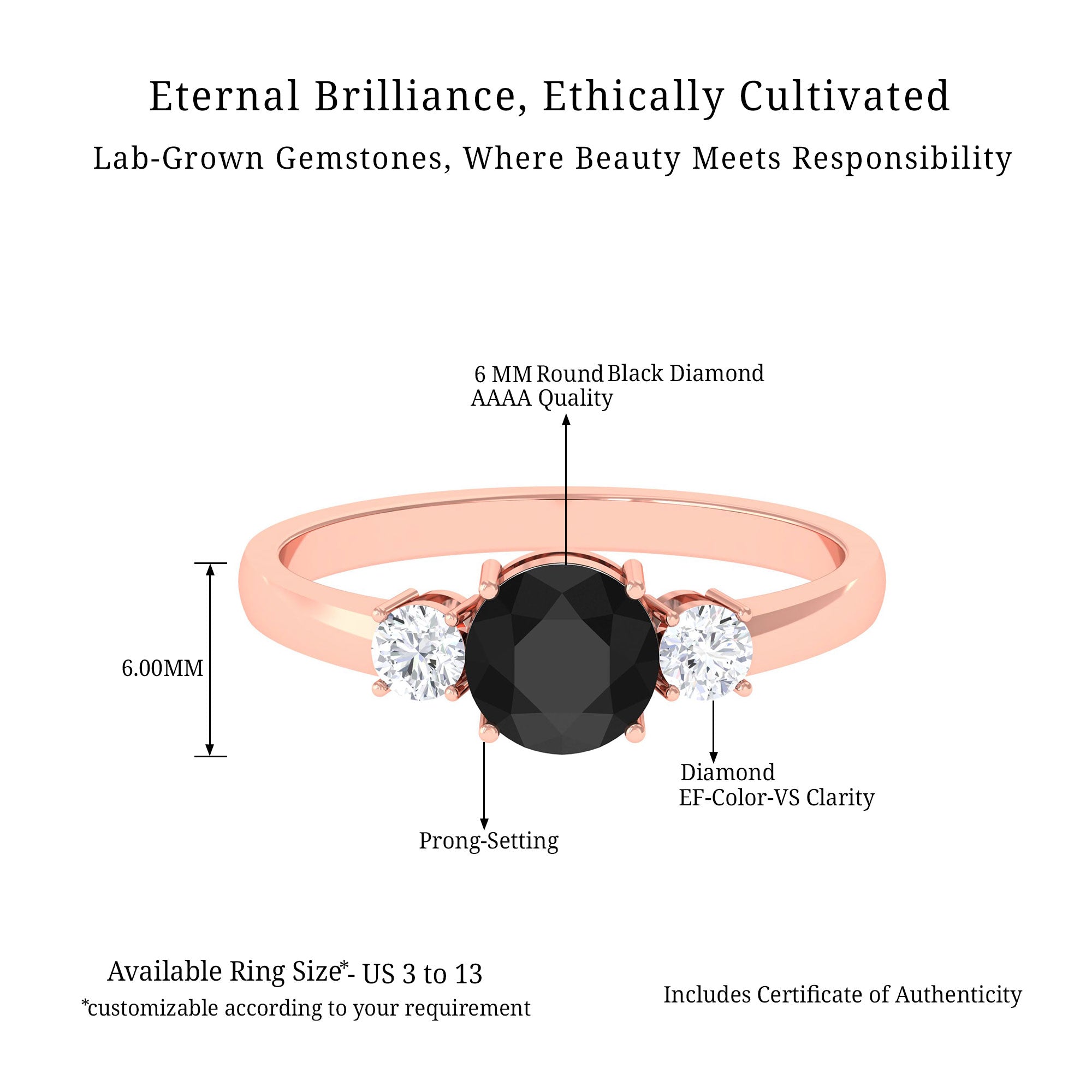 Vibrant Grown Labs-Minimal Round Lab Created Black Diamond Promise Ring