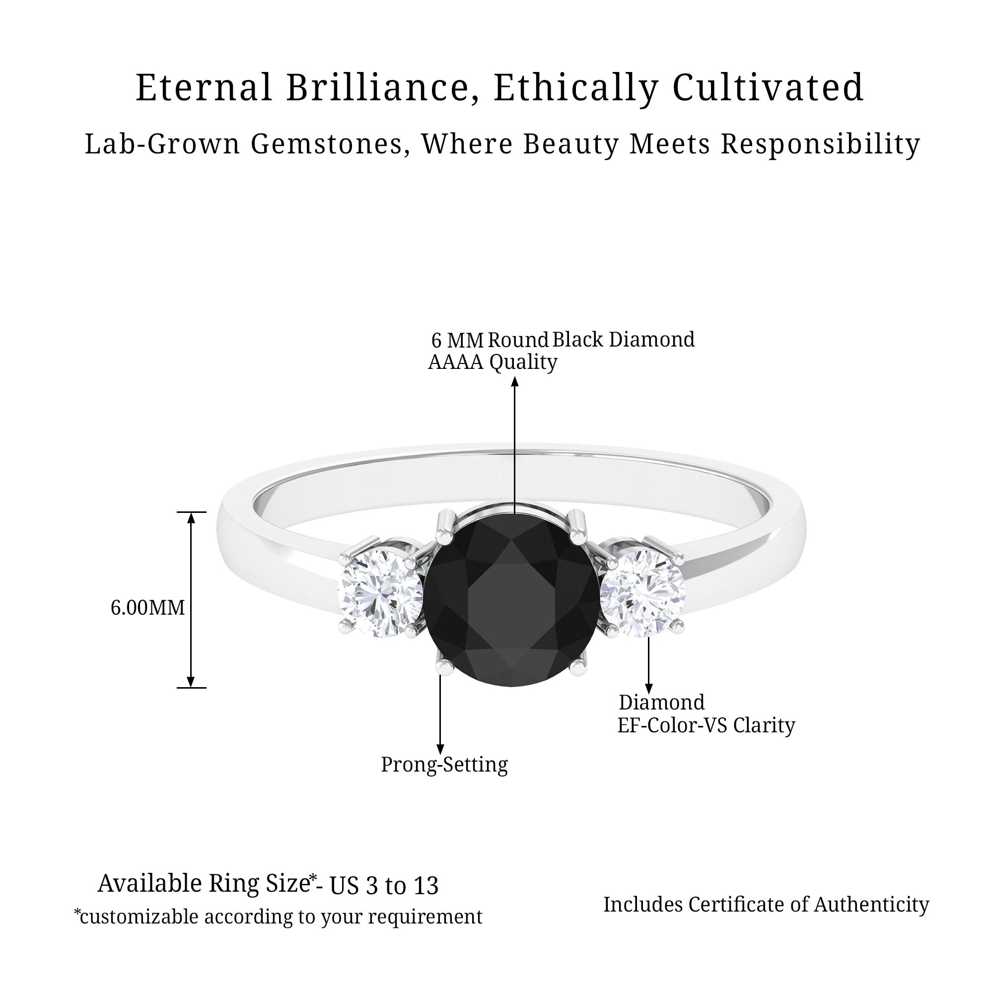 Vibrant Grown Labs-Minimal Round Lab Created Black Diamond Promise Ring