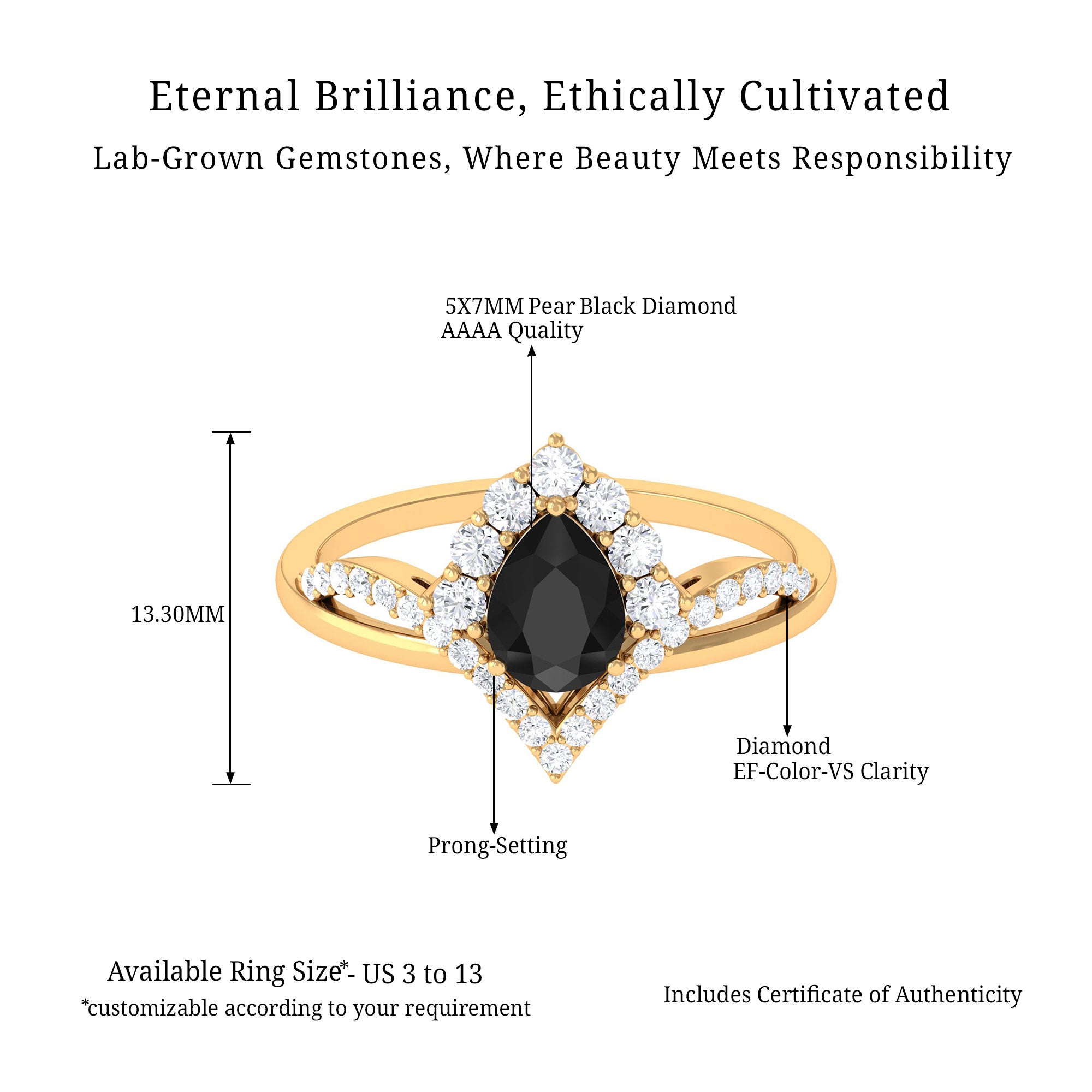 Vibrant Grown Labs-Lab Grown Black Diamond Designer Engagement Ring